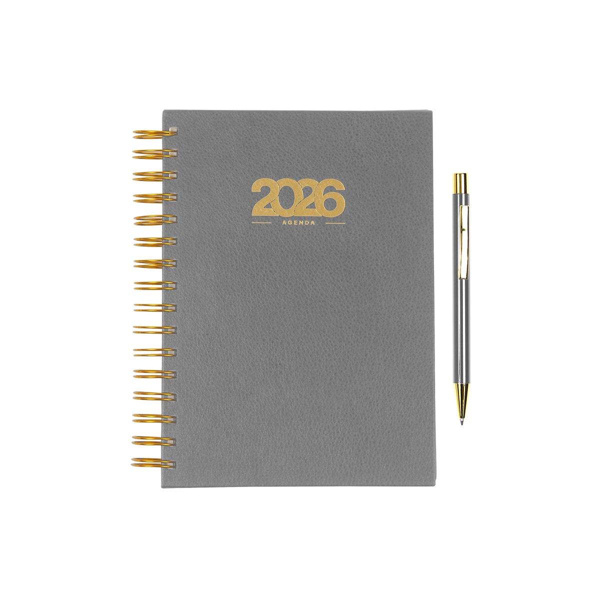 Agenda Diaria Bernetti. - Vista 21