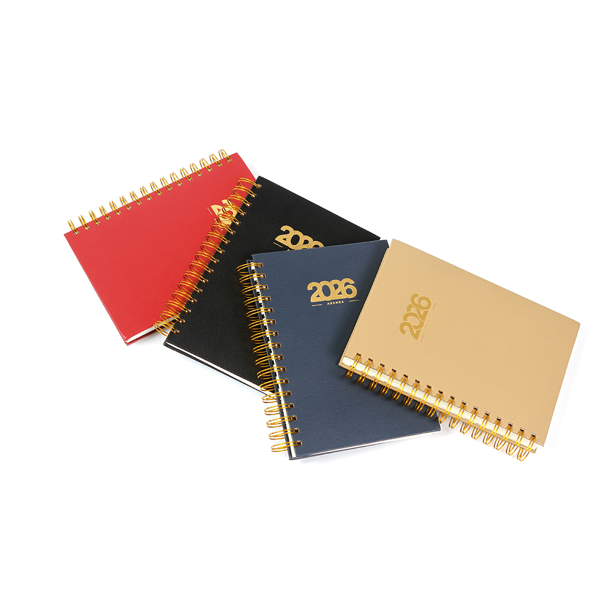 Agenda Diaria Bernetti. - Vista 4