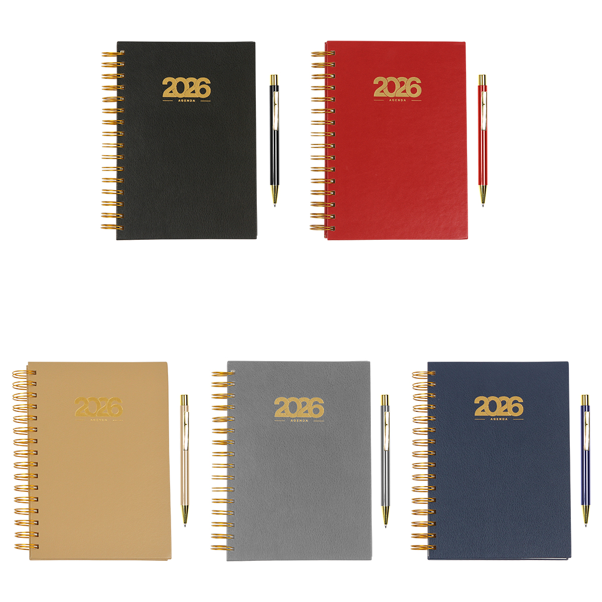 Agenda Diaria Bernetti. - Vista 7