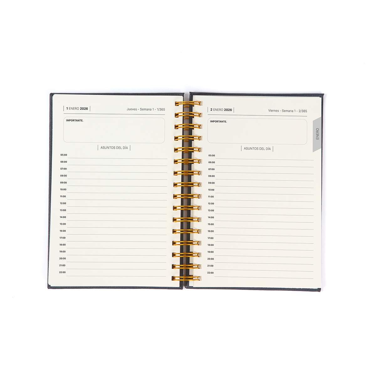 Agenda Diaria Bernetti. - Vista 11