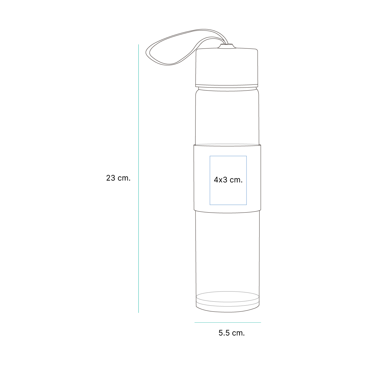 Cilindro Ulmi. - Vista 4