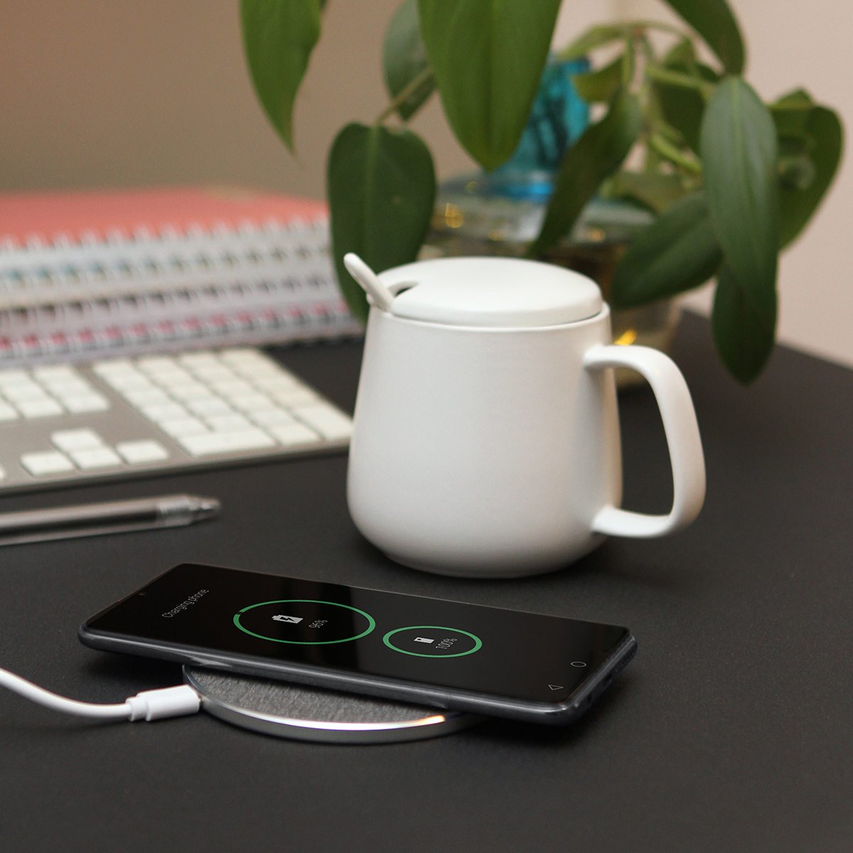 Taza Lodz. - Vista 6