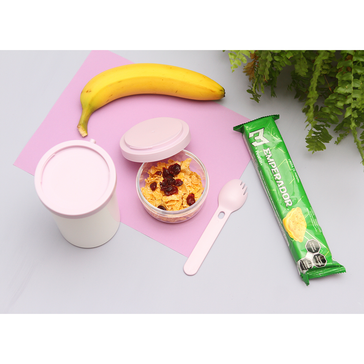 Contenedor Gills. - Vista 2