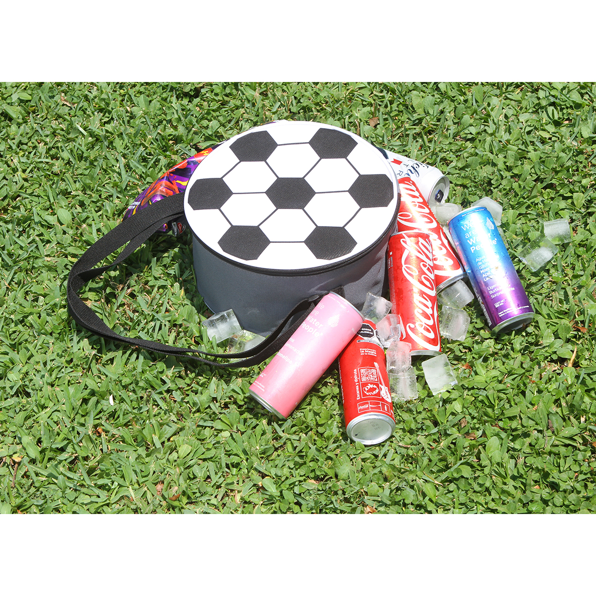 Hielera Odzun. - Vista 2