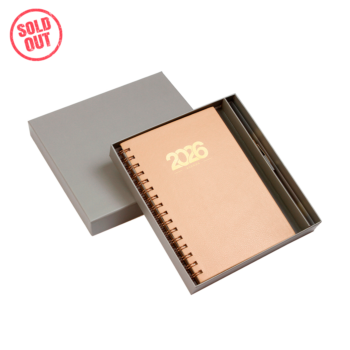 Agenda Diaria Bernetti. - Vista 18