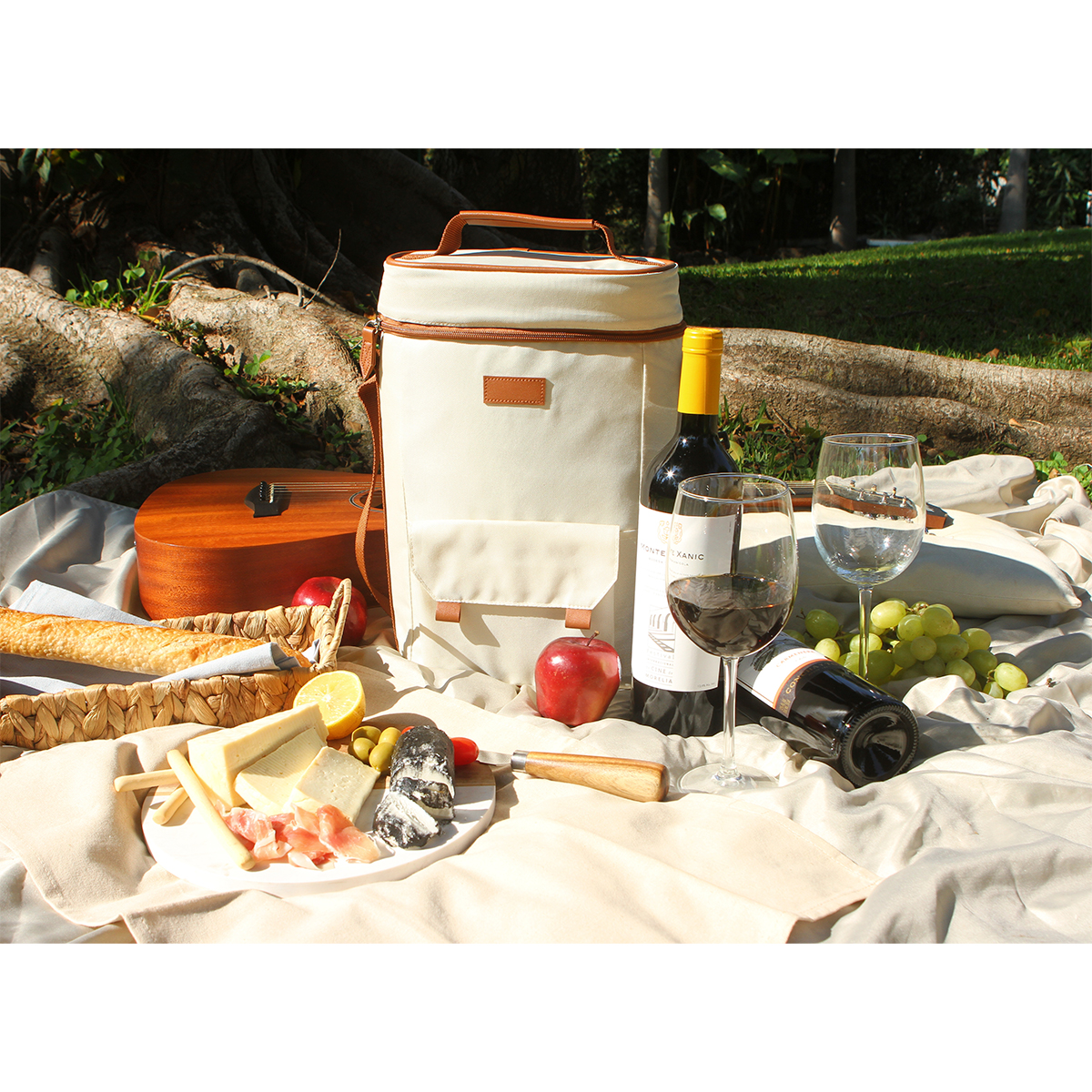 Hielera Mazyr. - Vista 2