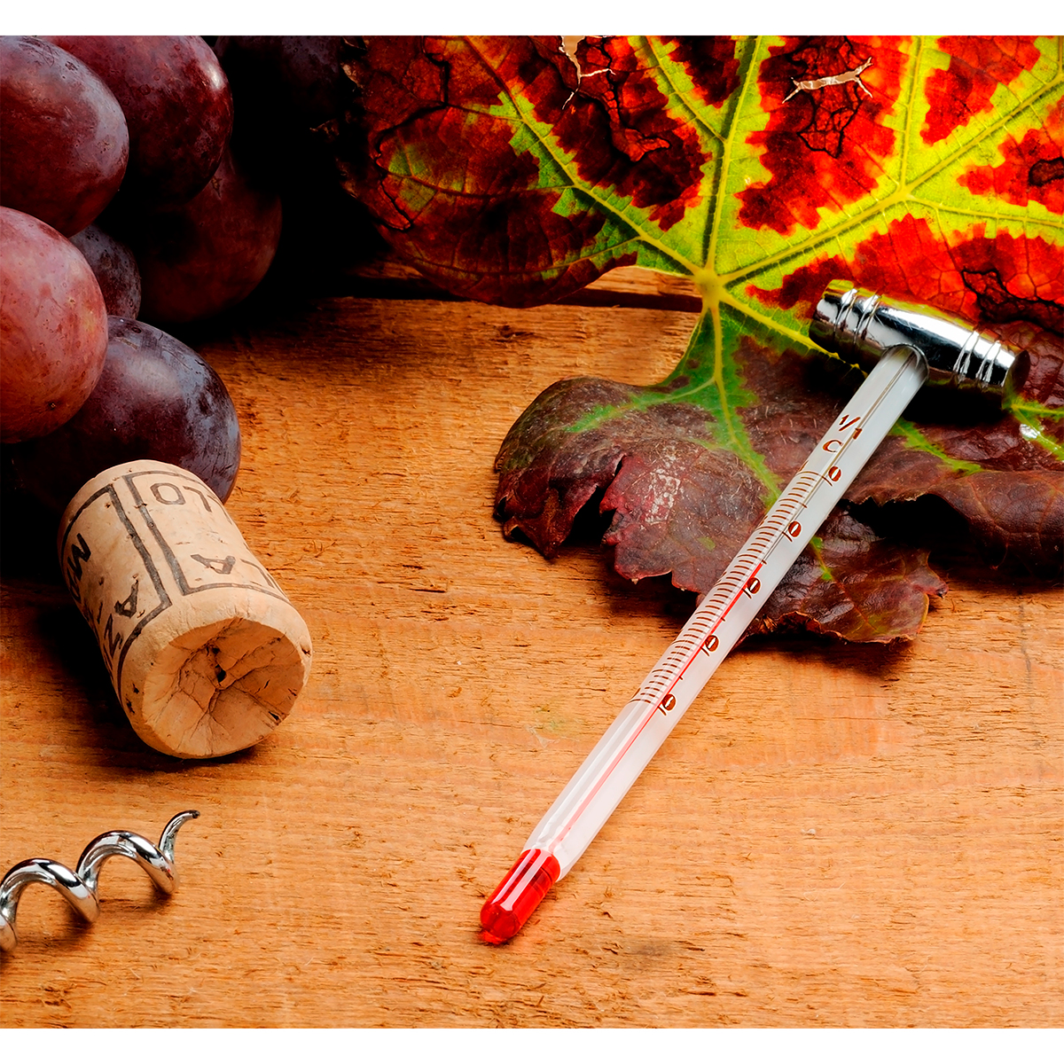 Set para vino Merlot. - Vista 4