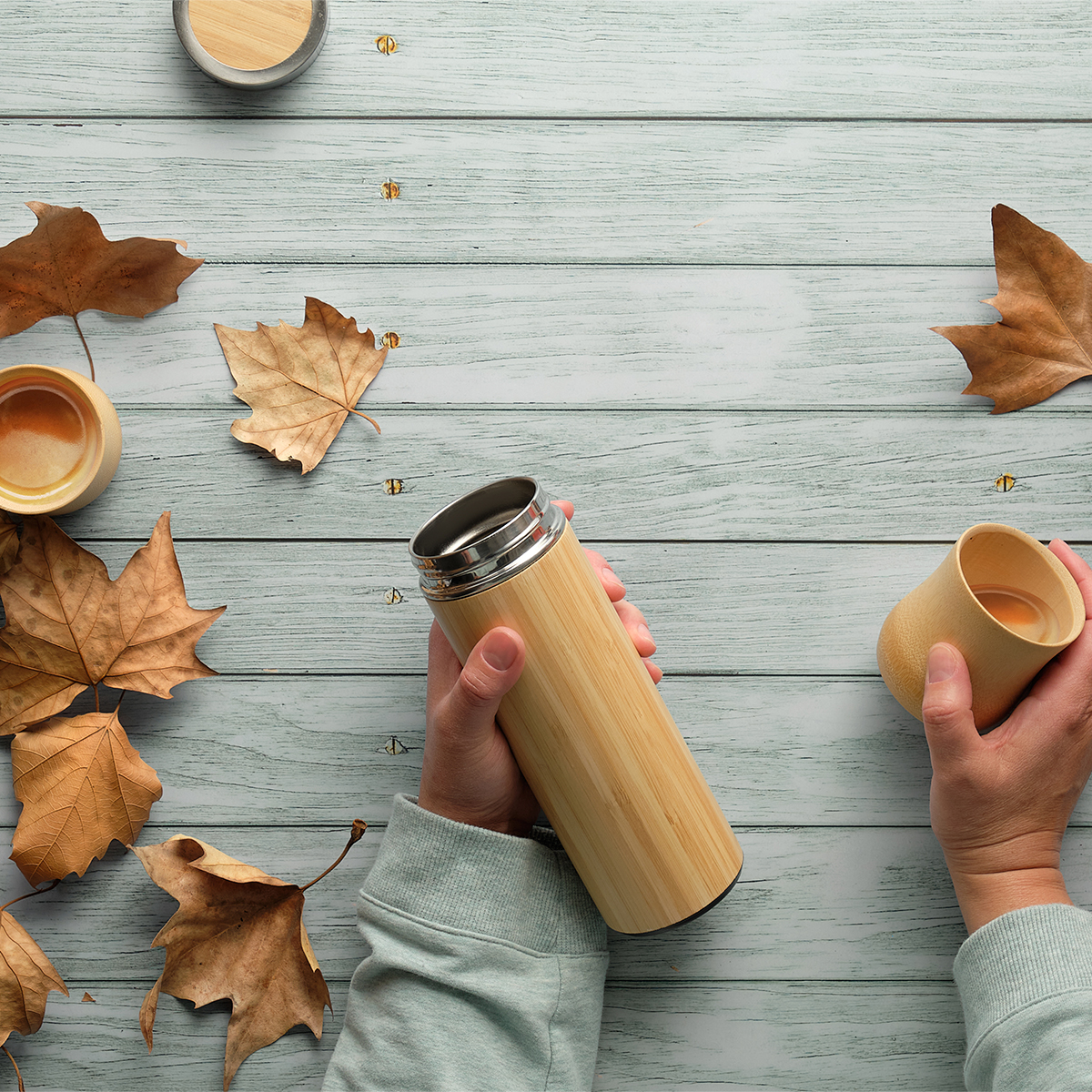 Termo Jember. - Vista 3