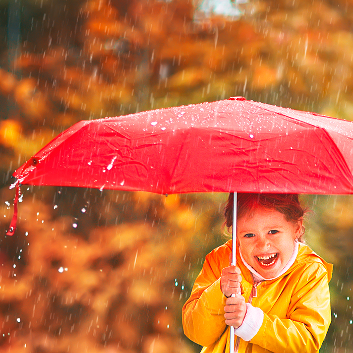 Paraguas Borneo. - Vista 5