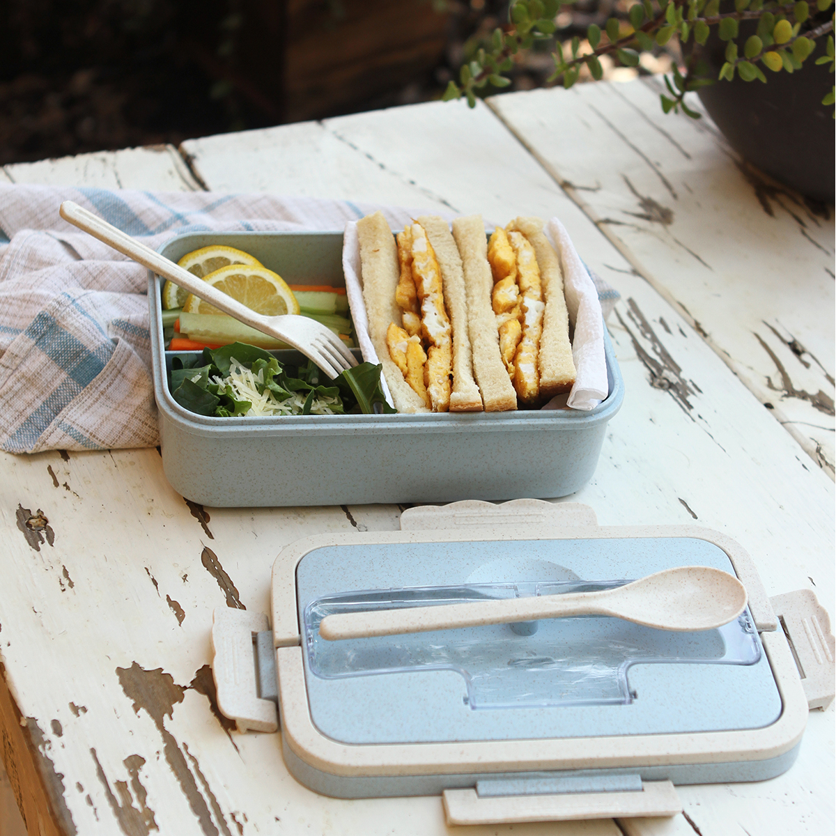 Contenedor Affi. - Vista 2