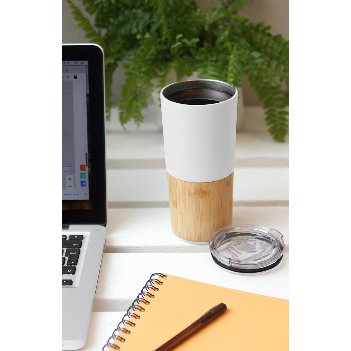 Termo Tafuna. - Vista 4