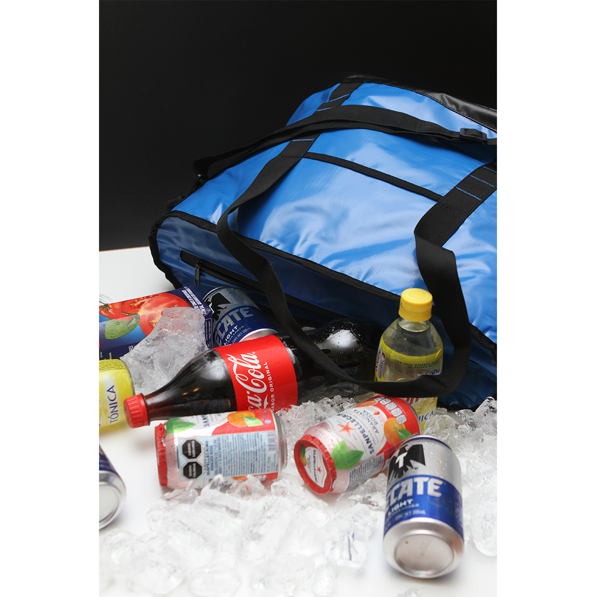 Hielera Riga. - Vista 5