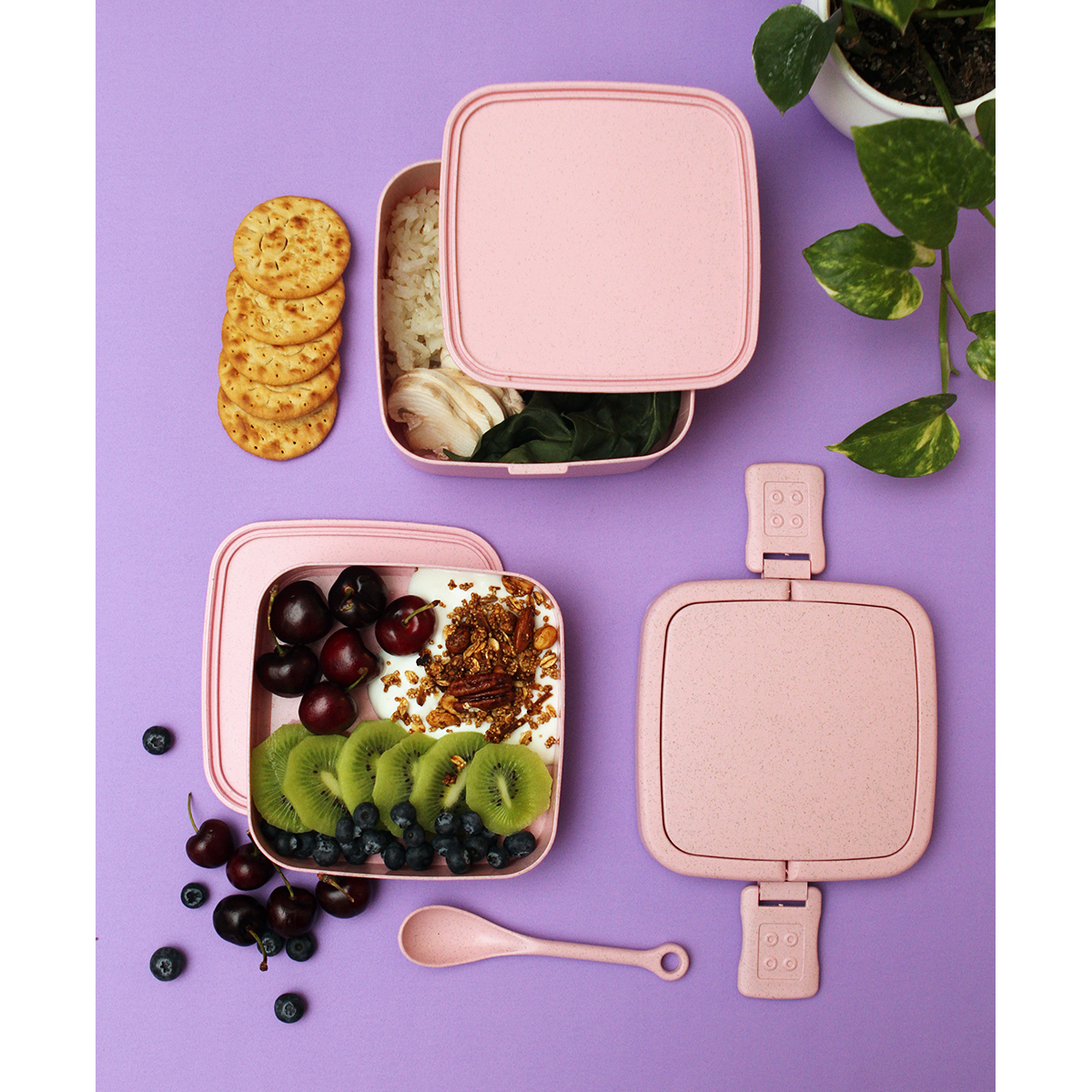 Contenedor Olgiy. - Vista 3