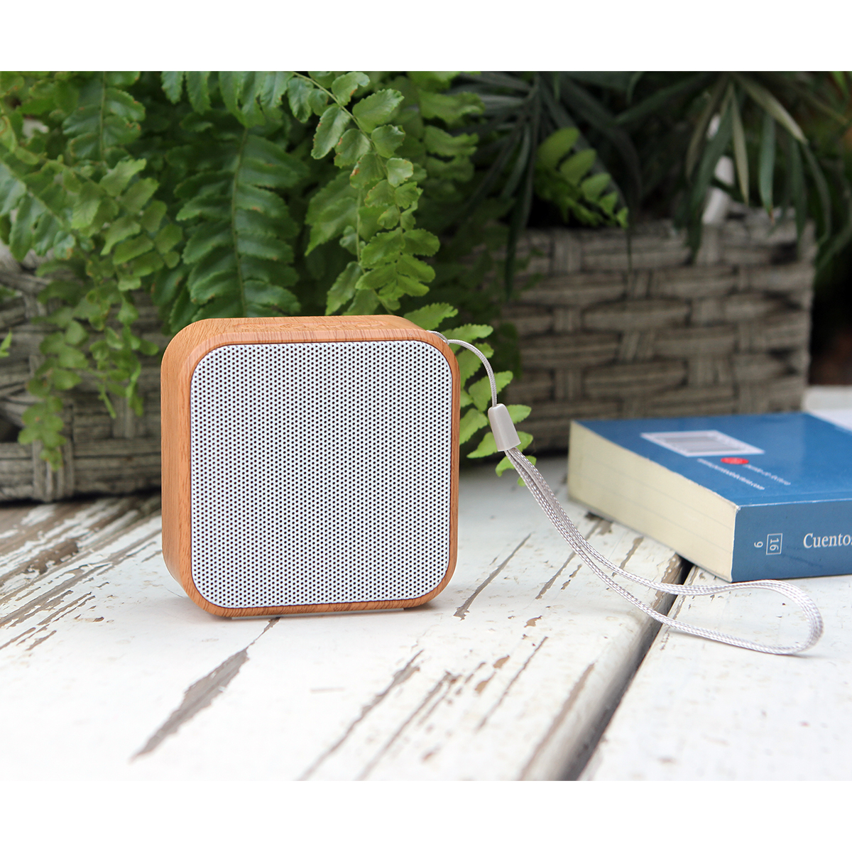 Bocina Piatra. - Vista 3