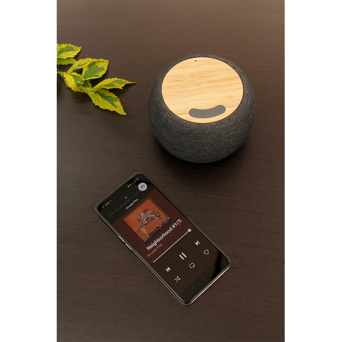 Bocina Shamal. - Vista 3