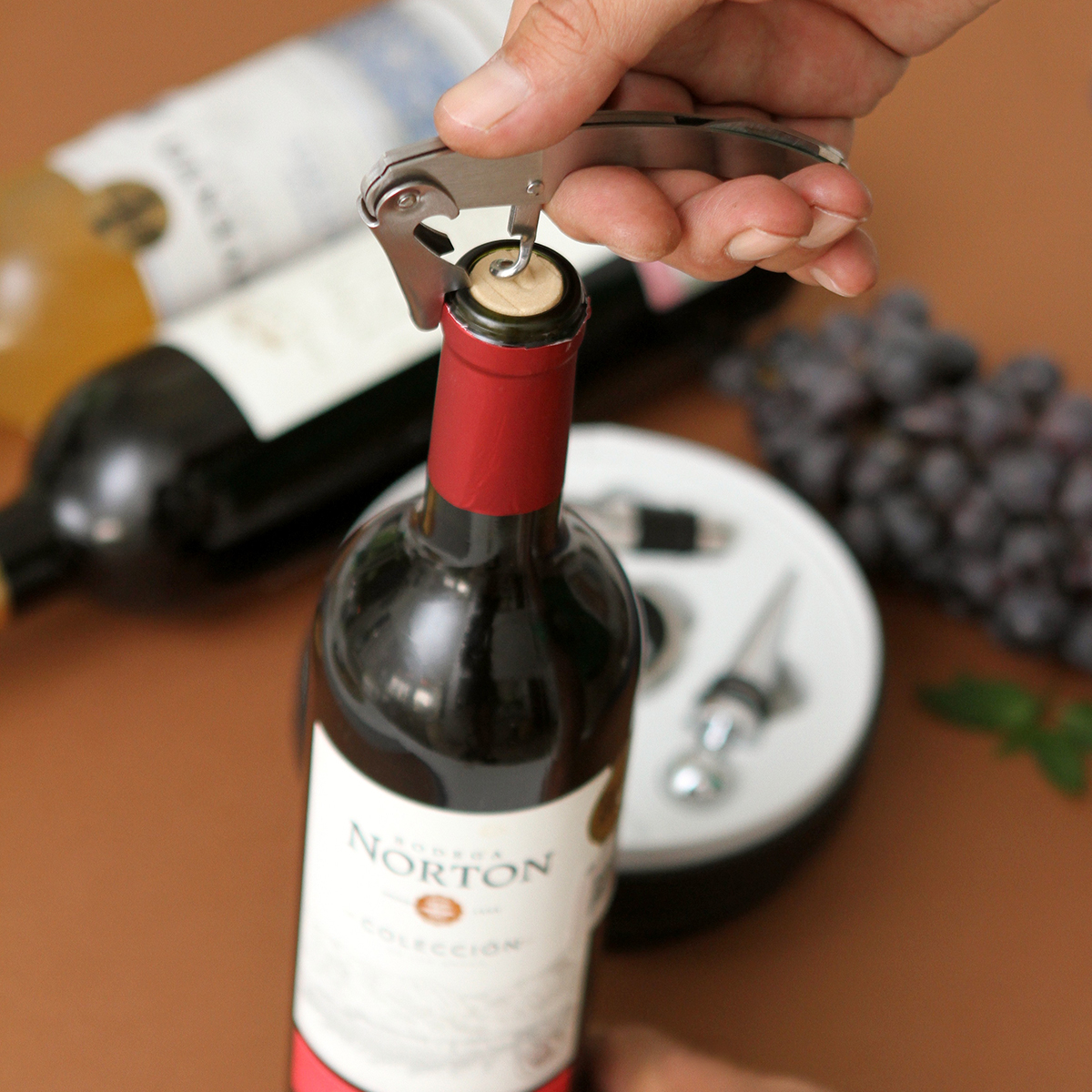 Set de vinos Multán. - Vista 3