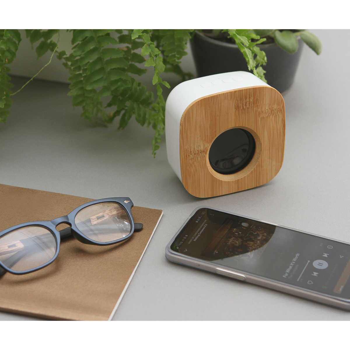 Bocina Varese. - Vista 3