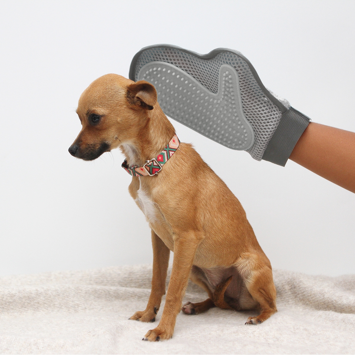 Guante Bomarzo. - Vista 3