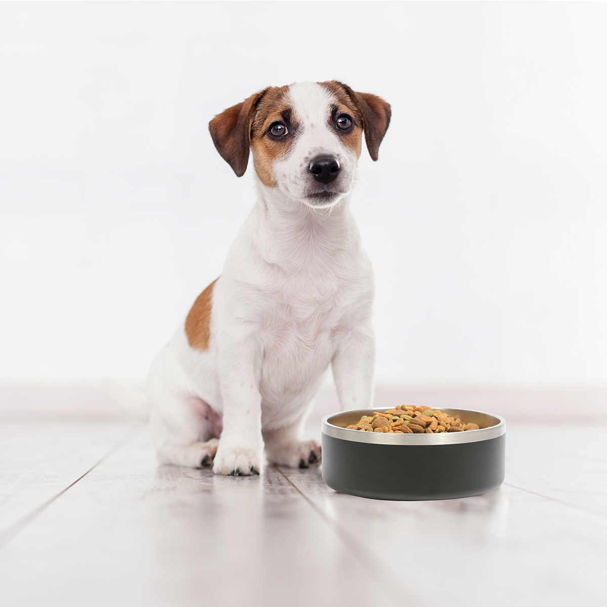 Tazón Gemini. - Vista 5