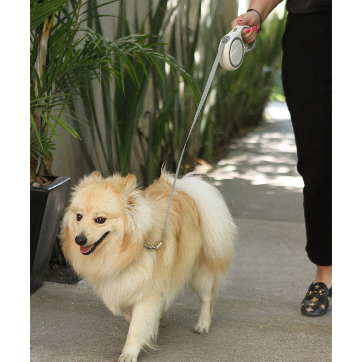 Correa Farina. - Vista 3