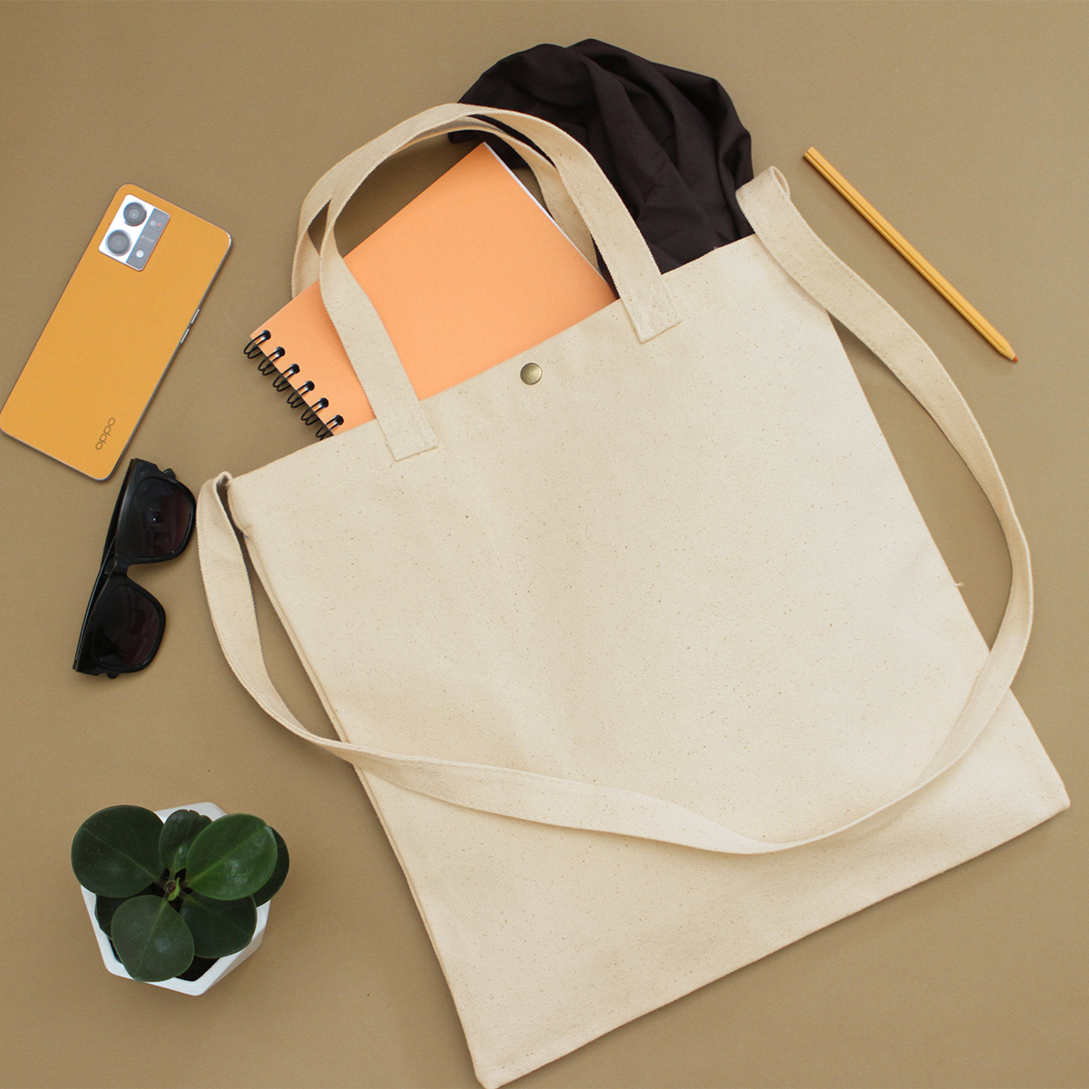 Bolsa Lagrasse. - Vista 5