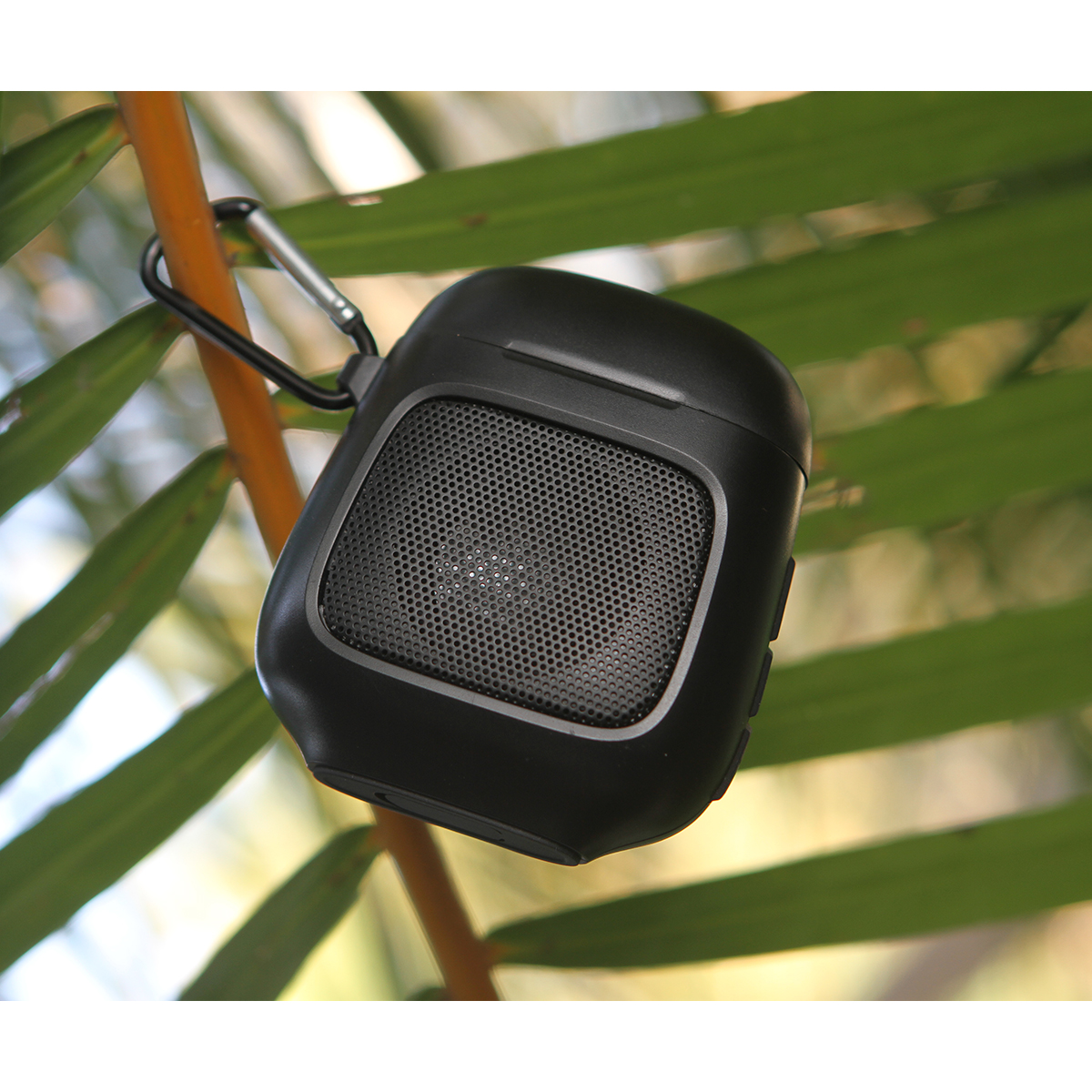 Bocina Bibbona. - Vista 3