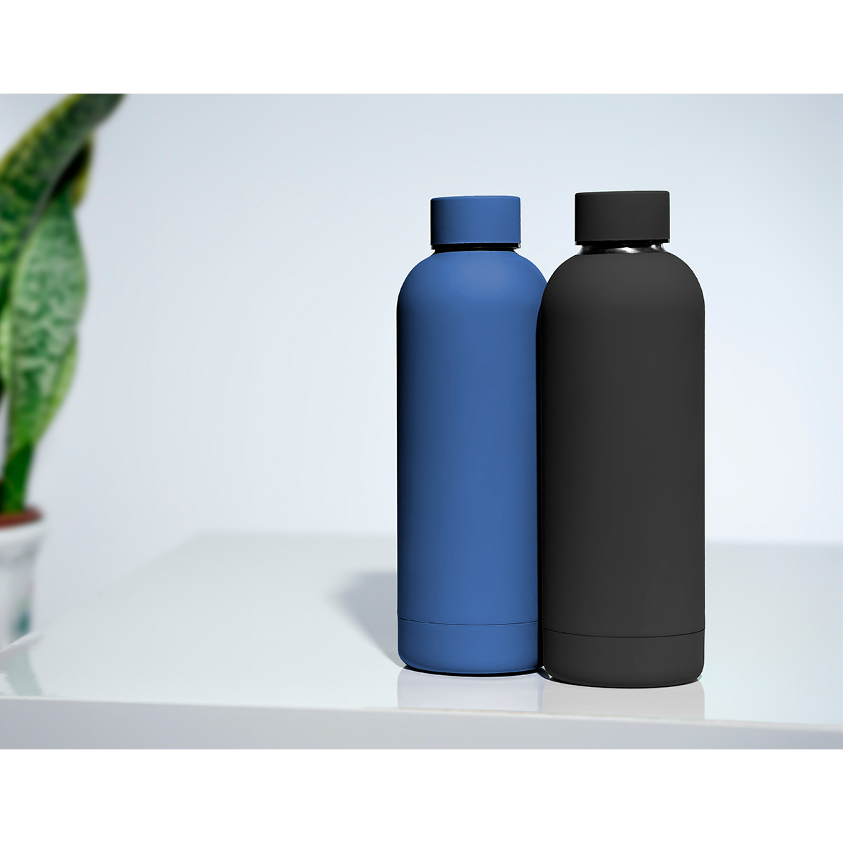 Botella Leonforte. - Vista 3