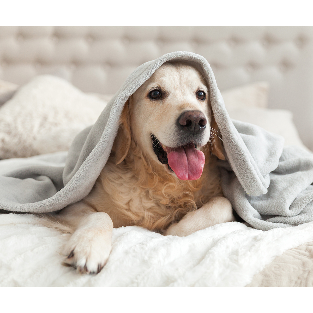 Frazada de Felpa Helsinki. - Vista 3