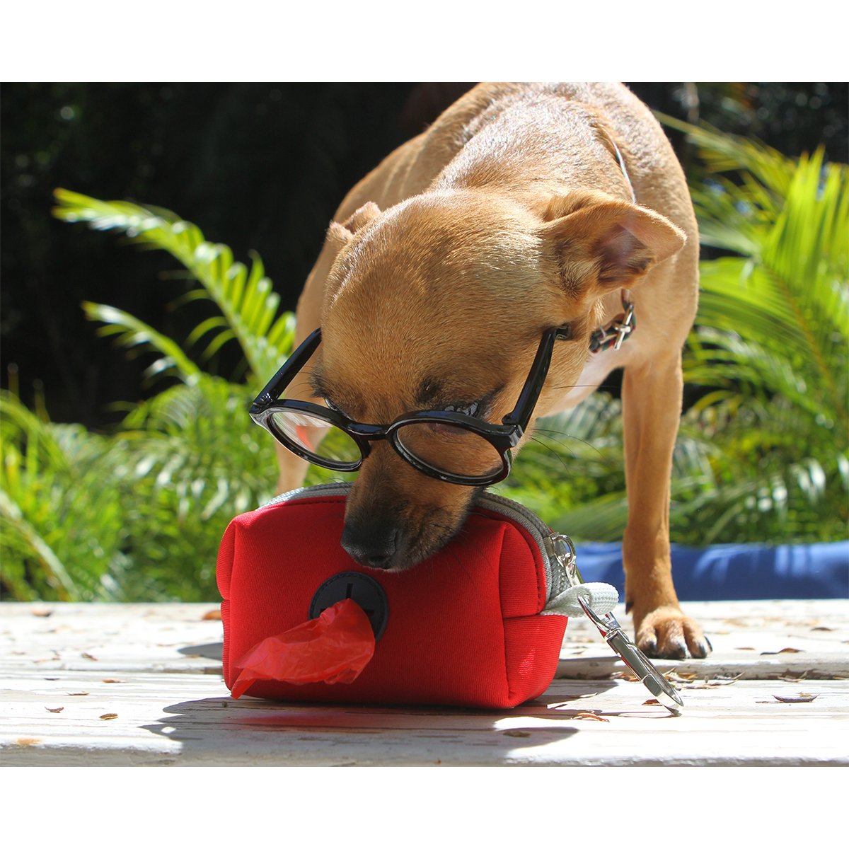 Porta Bolsas Rochor. - Vista 3