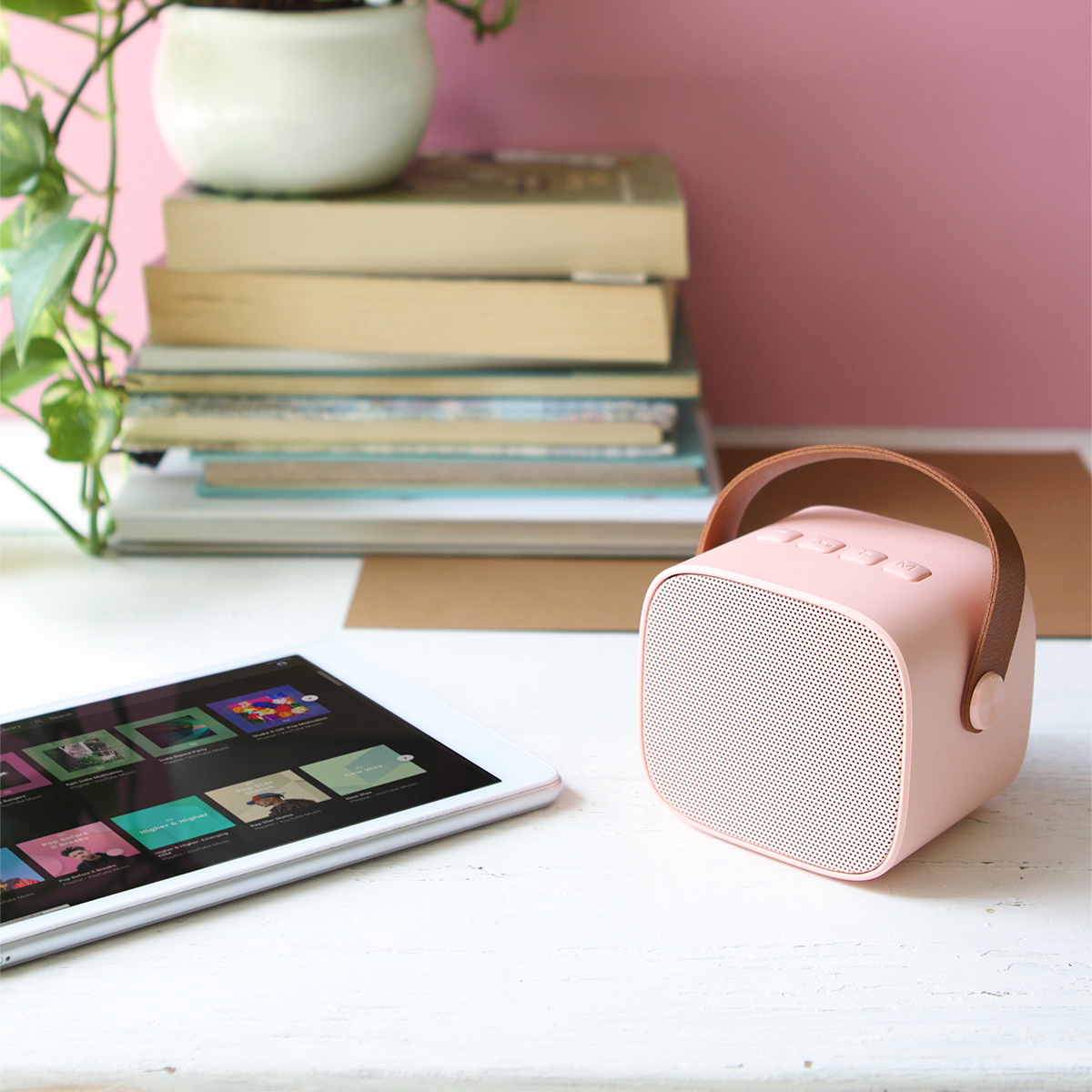 Bocina Laya. - Vista 4