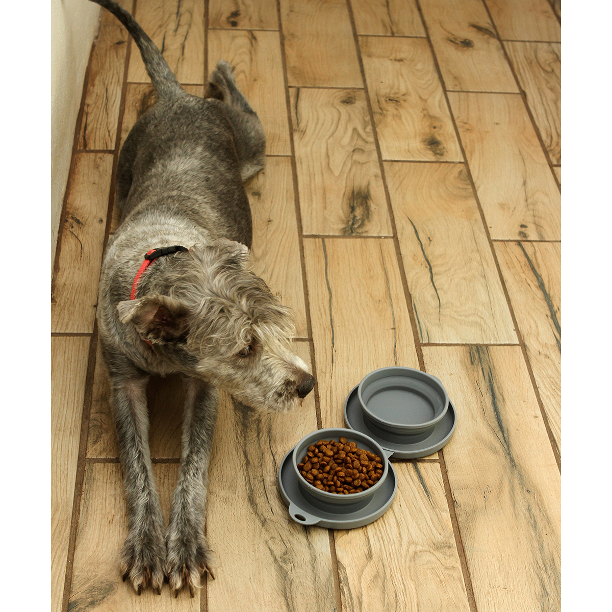 Plato Scoglitti. - Vista 7