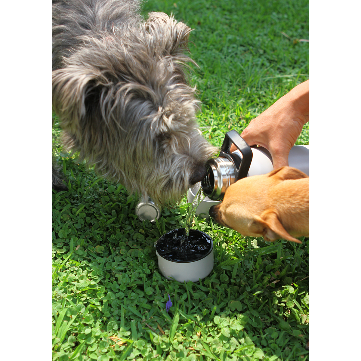 Botella Malta. - Vista 5