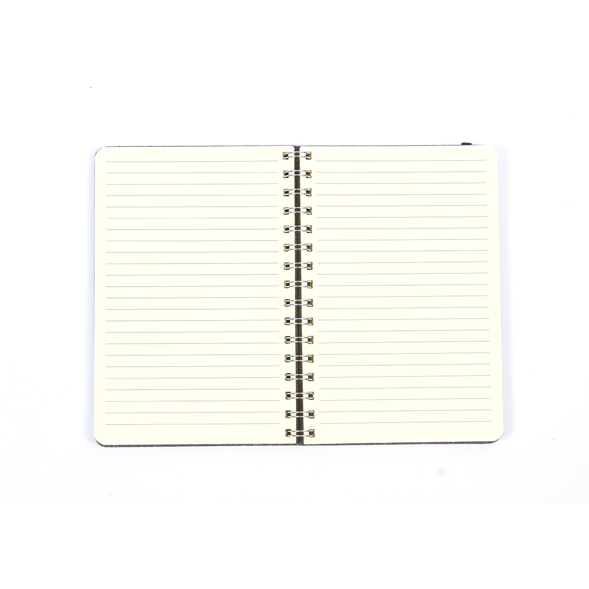 Libreta Golling. - Vista 2